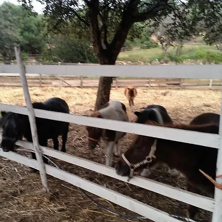 Cala Caterina Bay ベッド・アンド・ブレックファスト ヴィッラシミーウス